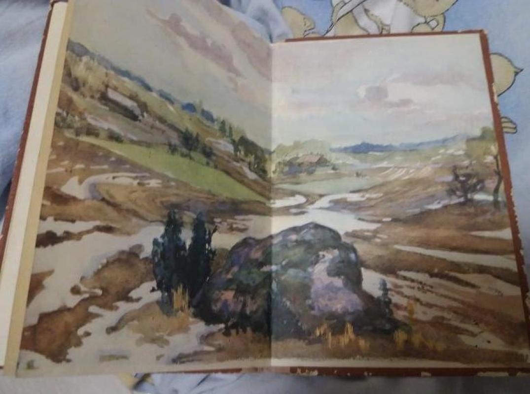 Pilkojo akmens pasakos - Ernestas Birzniekas-Upytis, knyga 2