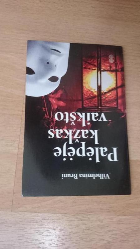 Palėpėje kažkas vaikšto - Vilhelmina Bruni, knyga 3