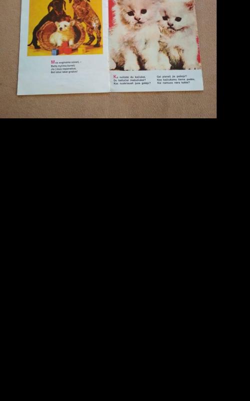 Mano draugai - Autorių Kolektyvas, knyga 2