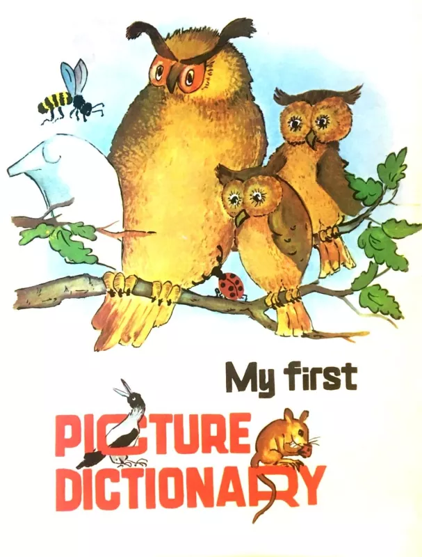 My first picture dictionary - Autorių Kolektyvas, knyga