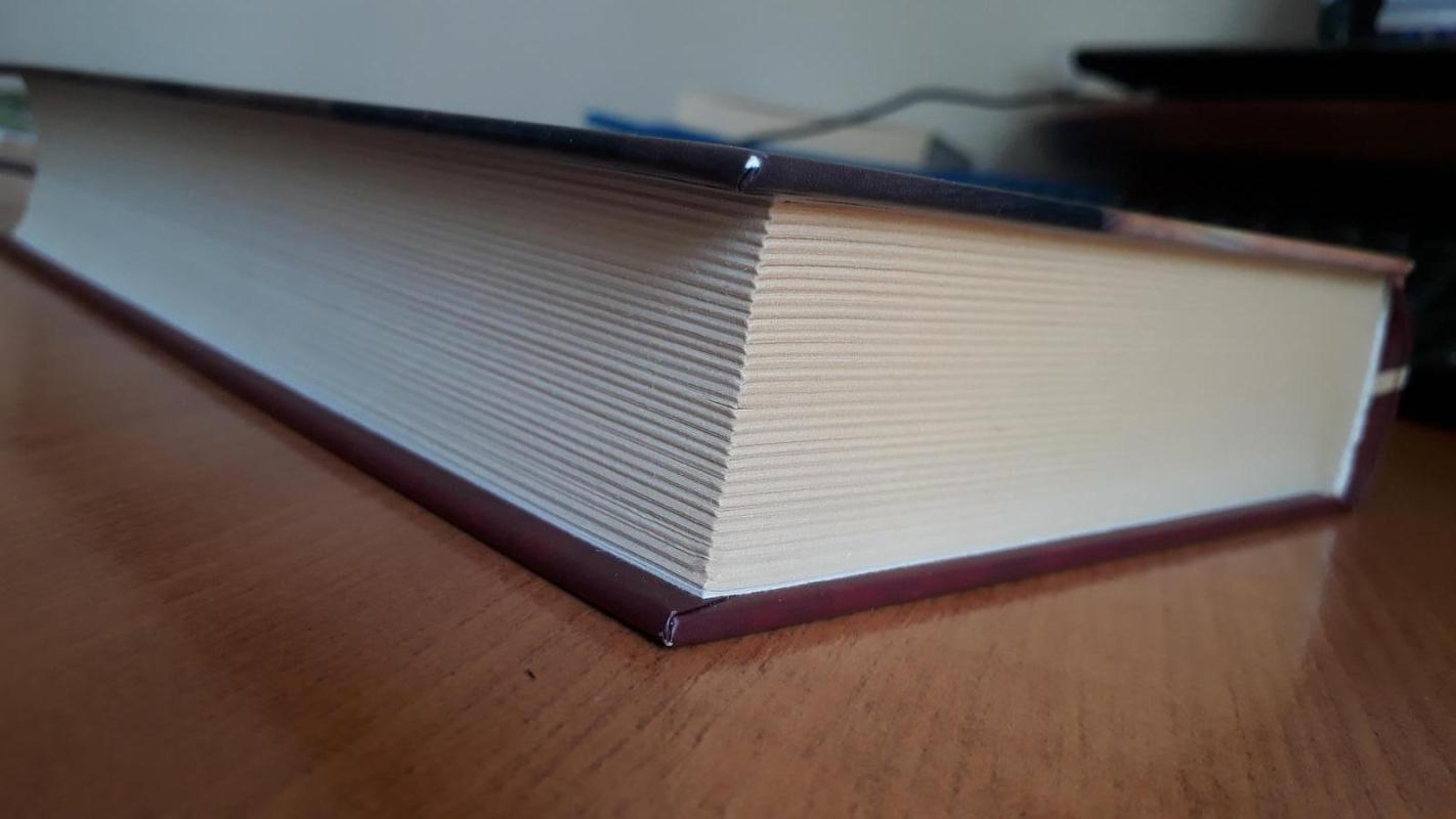 Tryliktoji pasaka - Diane Setterfield, knyga