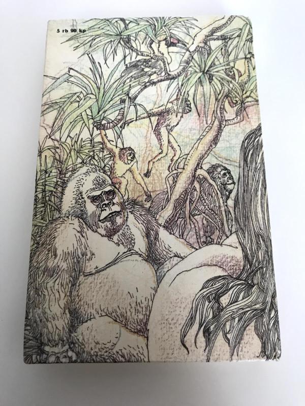 Tarzanas - Barouzas Edgaras, knyga 2