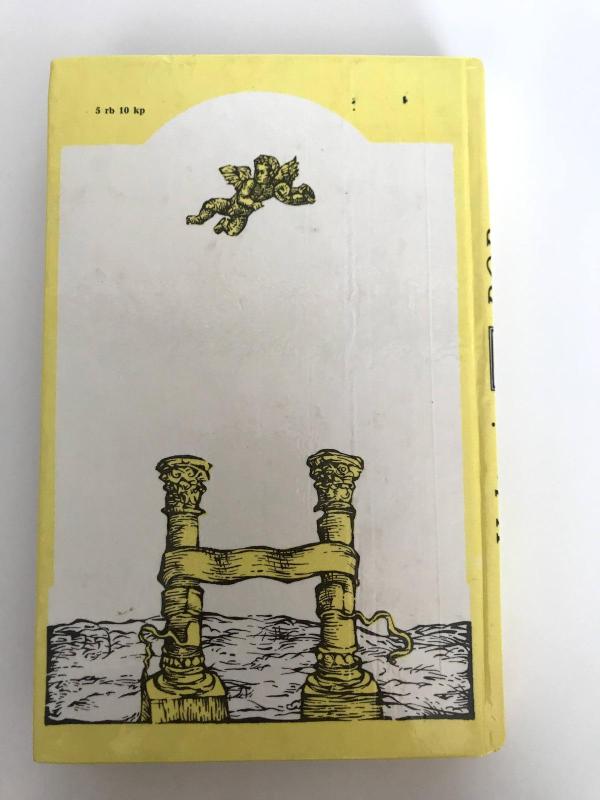 Rob Rojus - Valteris Skotas, knyga 2