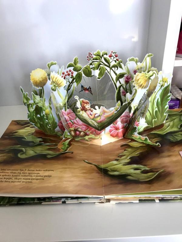 Fėjų šalyje - Kitty Richards, knyga