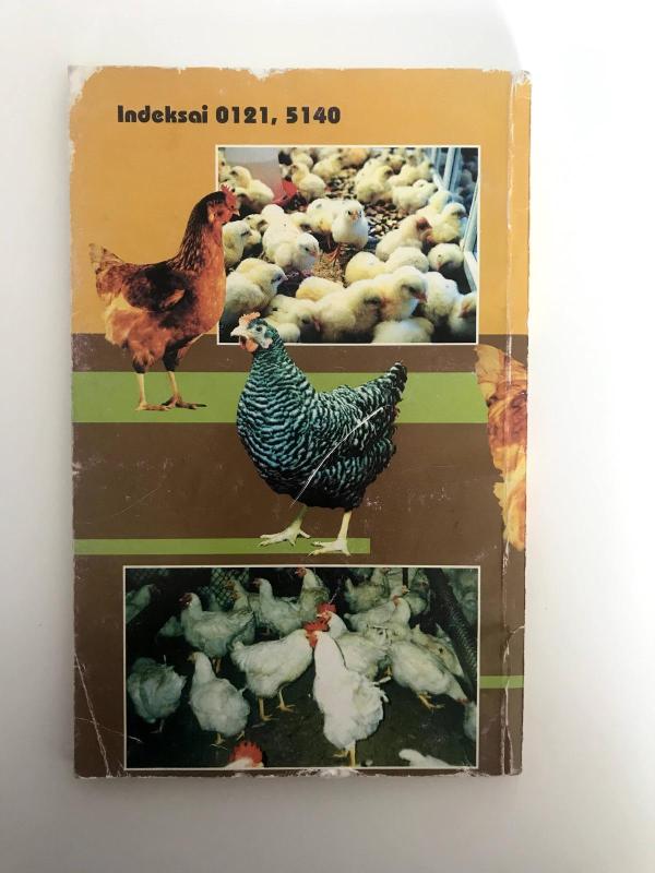 Naminiai paukščiai - Jonas Skonsmanas, knyga 2