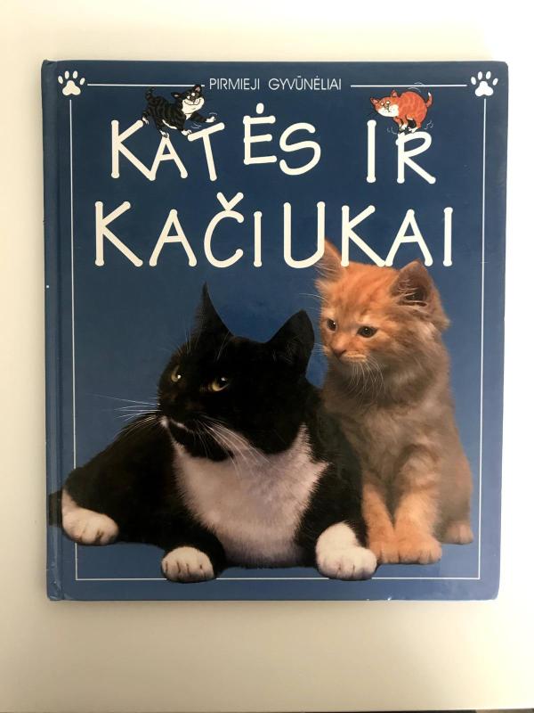 Katės ir kačiukai - Katherine Starke, knyga 3