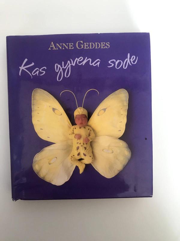 Kas gyvena sode - Anne Geddes, knyga 3