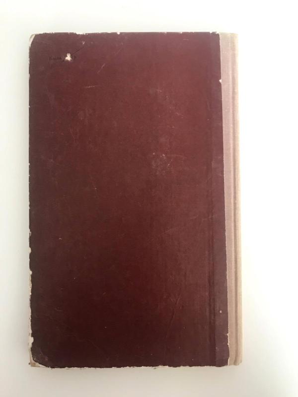 Visi prieš vieną - Vytautas Petkevičius, knyga 2