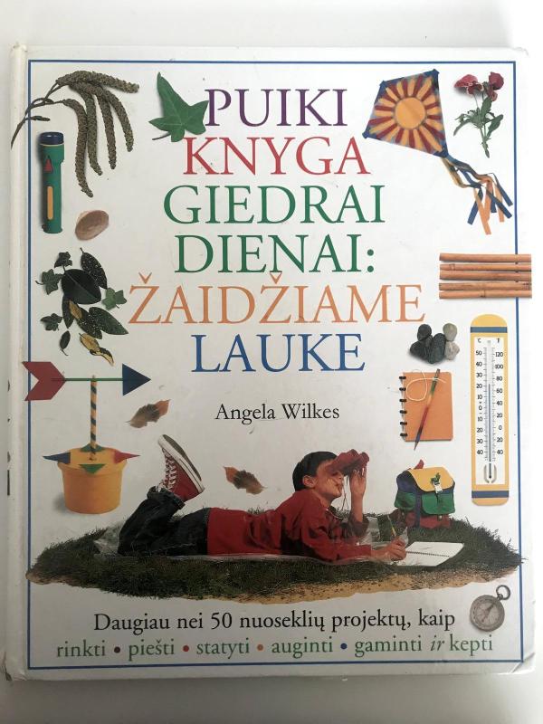 Puiki knyga giedrai dienai: žaidžiame lauke - Angela Wilkes, knyga 3