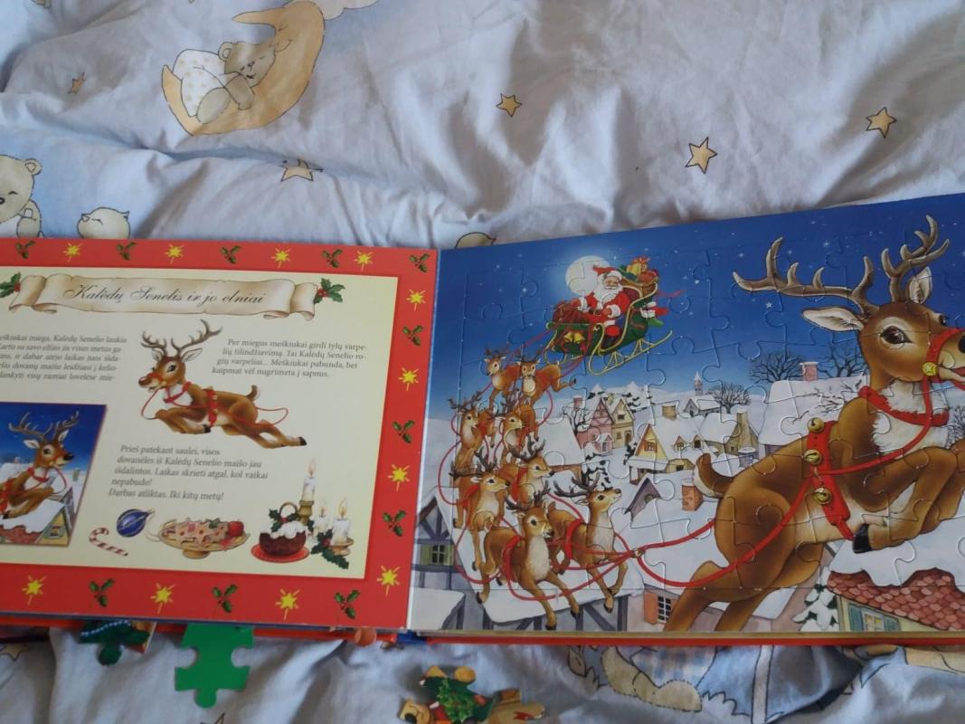 Kalėdos: dėlionių knyga - Lee Krutop, knyga 3