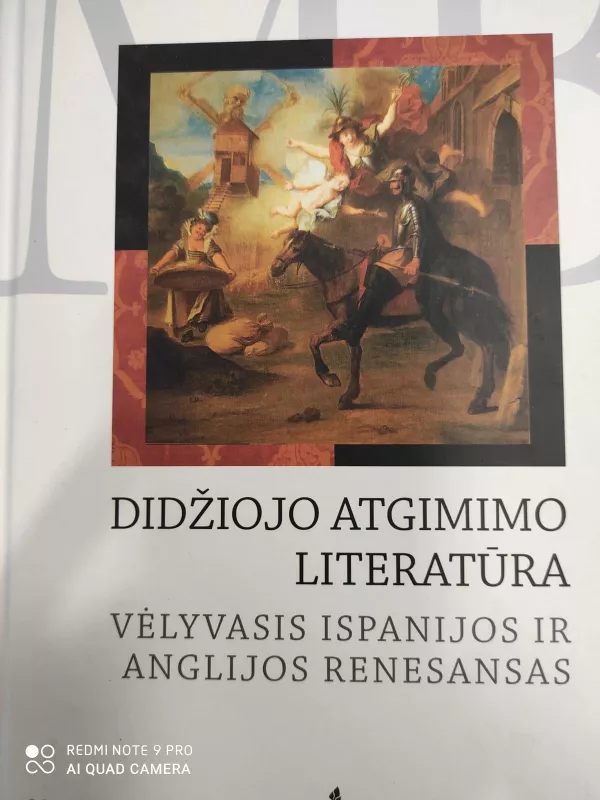 Didžiojo Atgimimo literatūra: vėlyvasis Ispanijos ir Anglijos Renesansas - Agnė Iešmantaitė, knyga