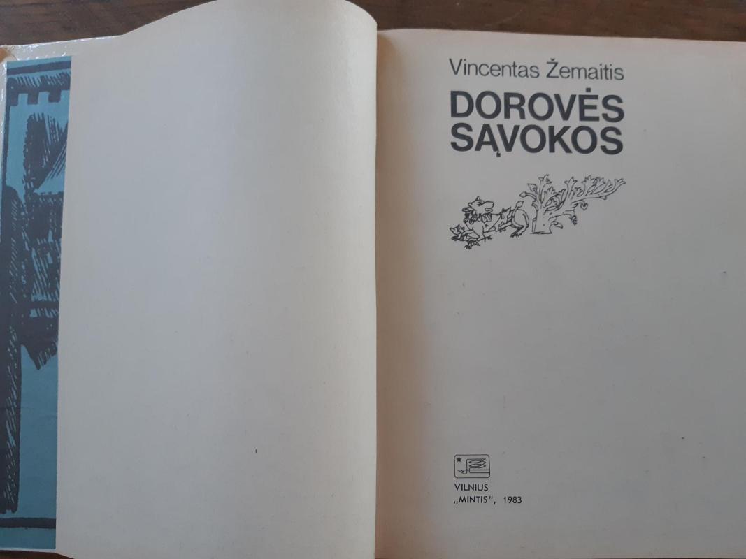 Dorovės sąvokos - Vincentas Žemaitis, knyga 3