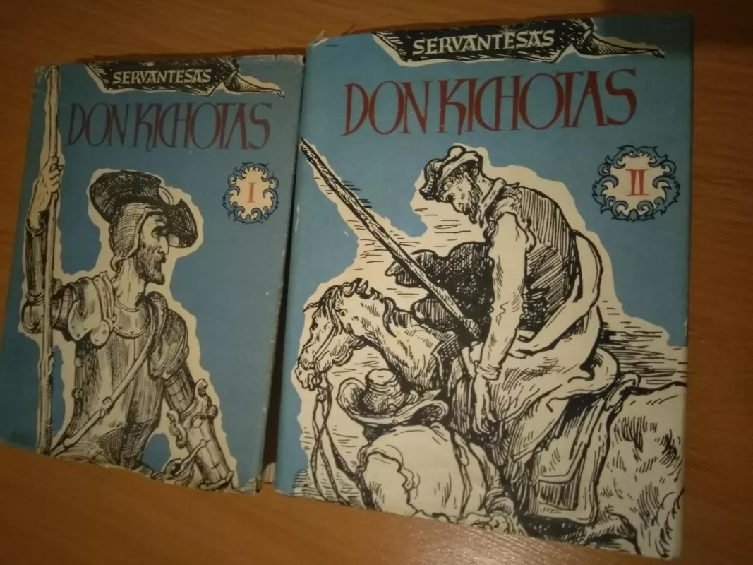 Don Kichotas - Migelis Servantesas, knyga