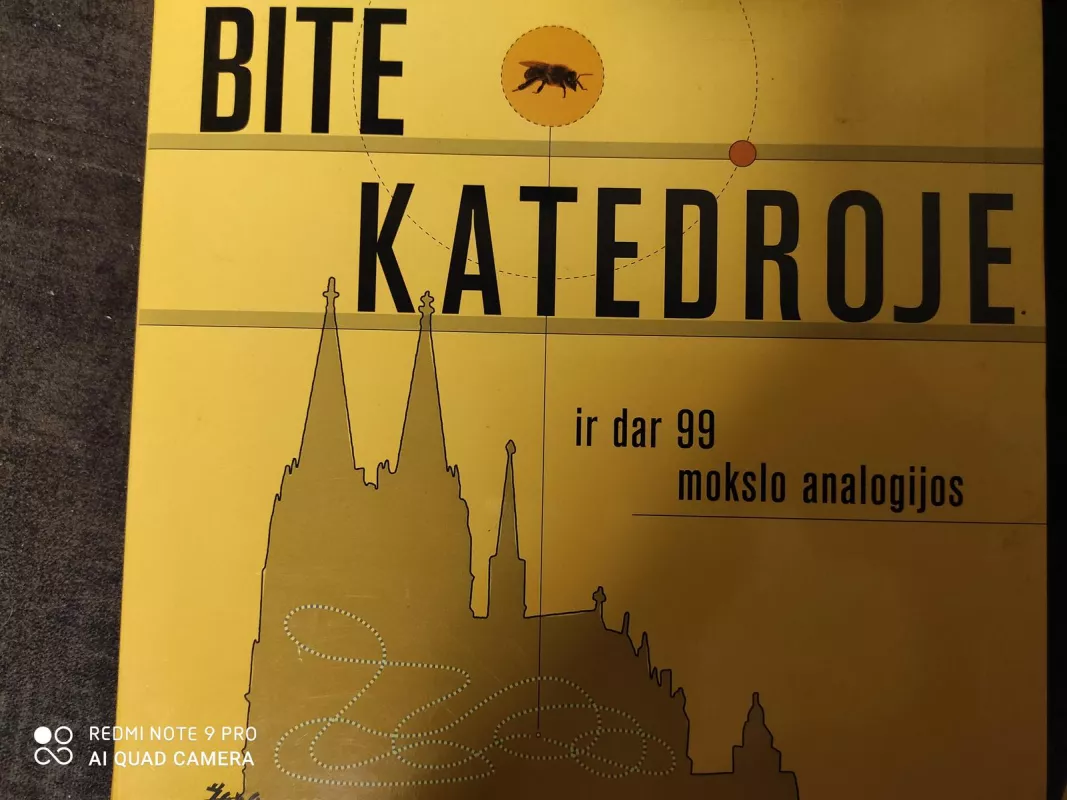 Bitė katedroje ir dar 99 mokslo analogijos - Joel Levy, knyga