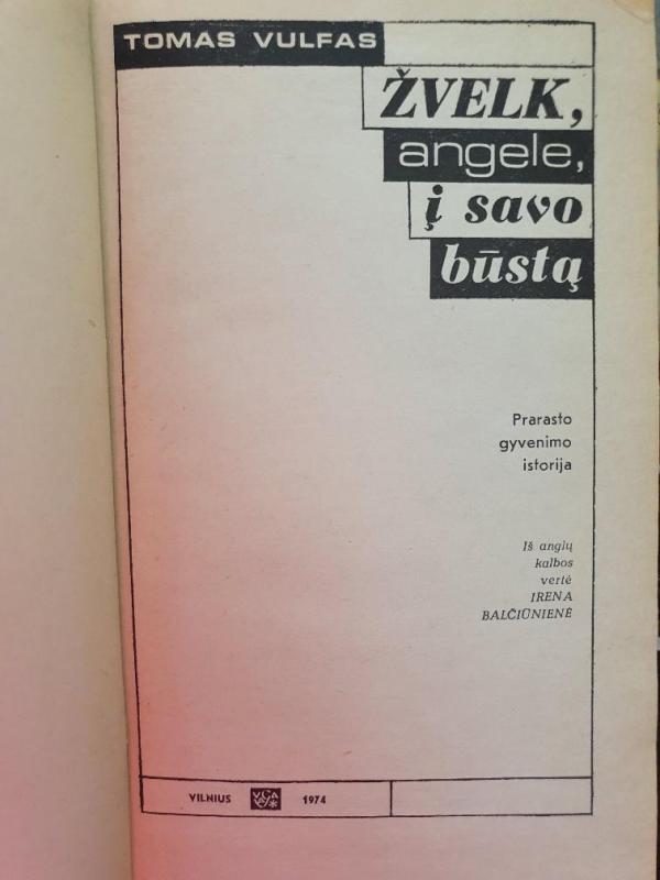 Žvelk, angele, į savo būstą - Tomas Vulfas, knyga 2