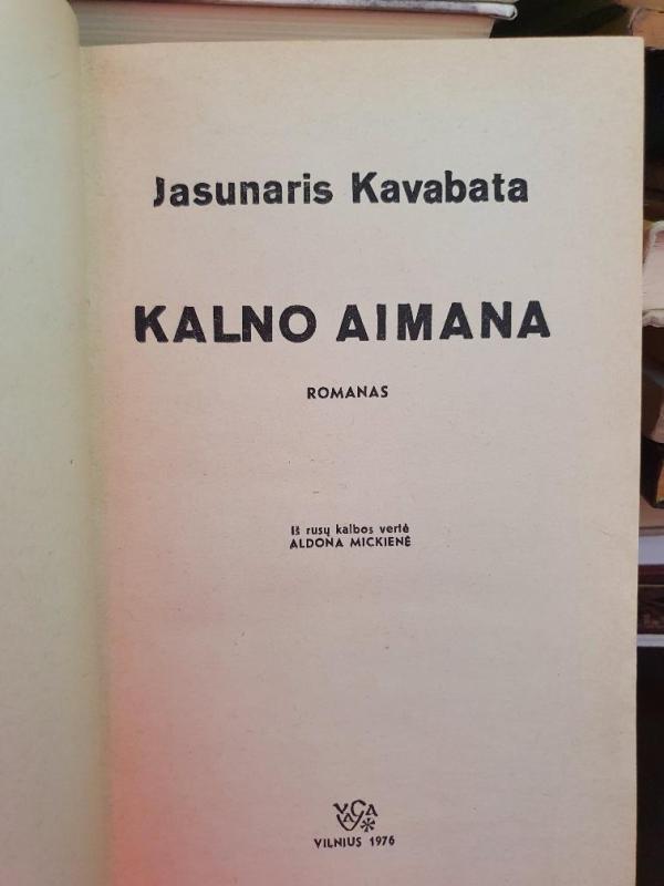 Kalno aimana - Jasunaris Kavabata, knyga 2