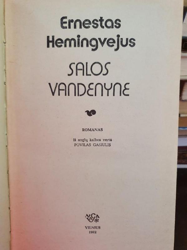 Salos vandenyne - Ernestas Hemingvėjus, knyga 2