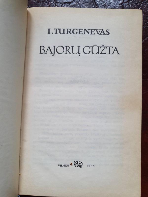 Bajorų gūžta - I. Turgenevas, knyga 2
