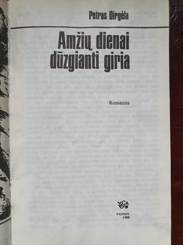 Amžių dienai dūzgianti giria - Alessandro Baricco, knyga 2