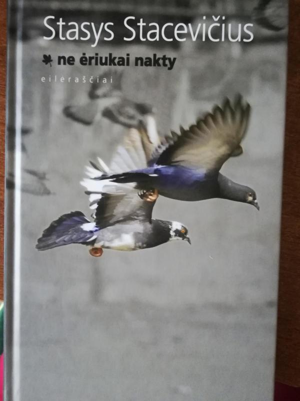 Ne ėriukai nakty - Stasys Stacevičius, knyga