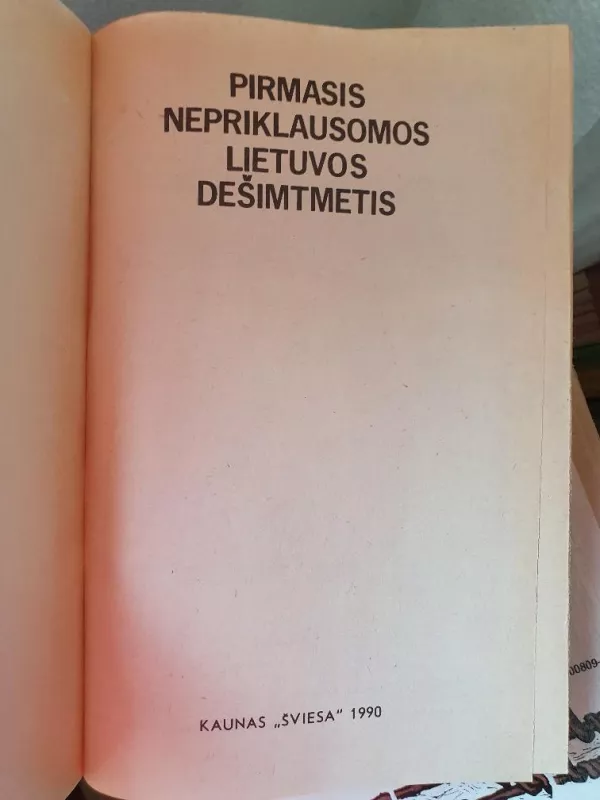 Pirmasis nepriklausomos Lietuvos dešimtmetis - Autorių Kolektyvas, knyga 2