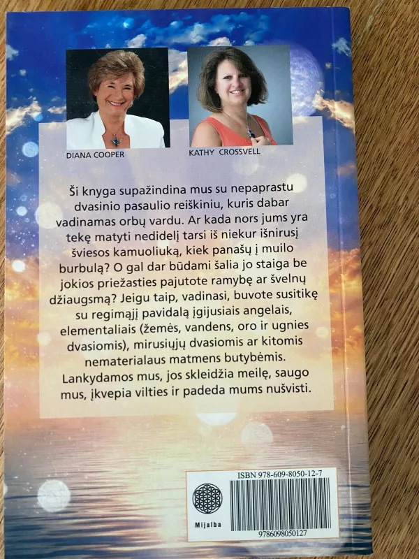 Orbai. Meilės ir išminties pasiuntiniai. - Diana Cooper, knyga