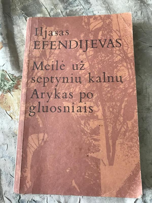 Meilė už septynių kalnų. Arykas po gluosniais - Iljasas Efendijevas, knyga 3