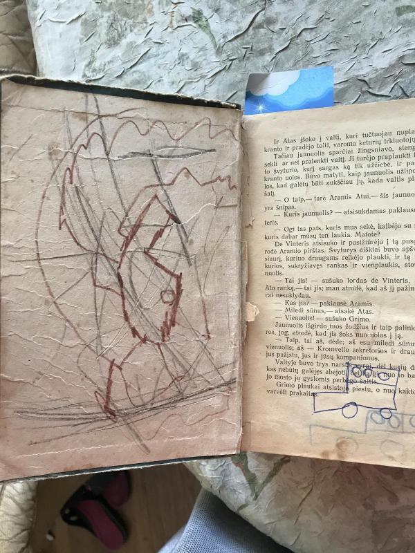 Po dvidešimties metų - Aleksandras Diuma, knyga 3