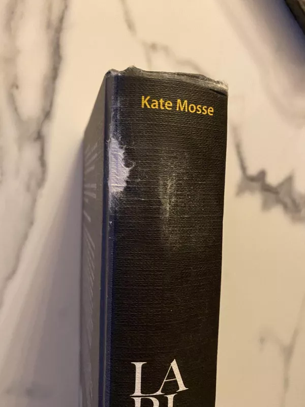 Labirintas - Kate Mosse, knyga 4