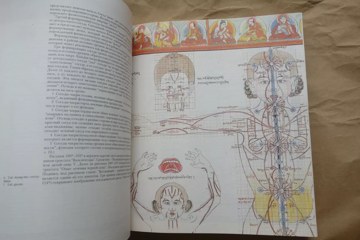 tibeto medicinos atlasas - Autorių Kolektyvas, knyga
