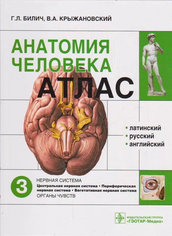 Анатомия человека: атлас. В 3-х томах Том 3. Нервная система - Г.Л. Билич, В.А.  Крыжановский, knyga
