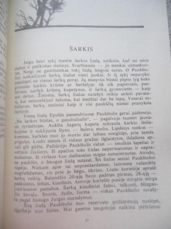 Paukštulis-ežero vaikas - Vytautas Nedzinskas, knyga 4