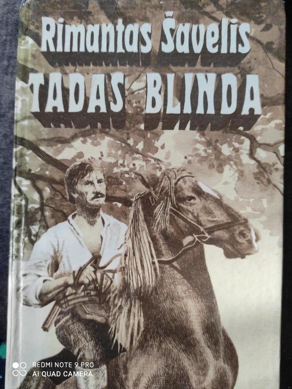 Tadas Blinda - Rimantas Šavelis, knyga