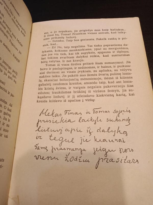 Tomo Sojerio nuotykiai - Markas Tvenas, knyga 4