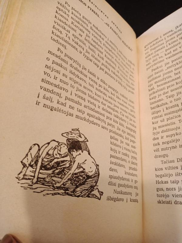 Tomo Sojerio nuotykiai - Markas Tvenas, knyga 3