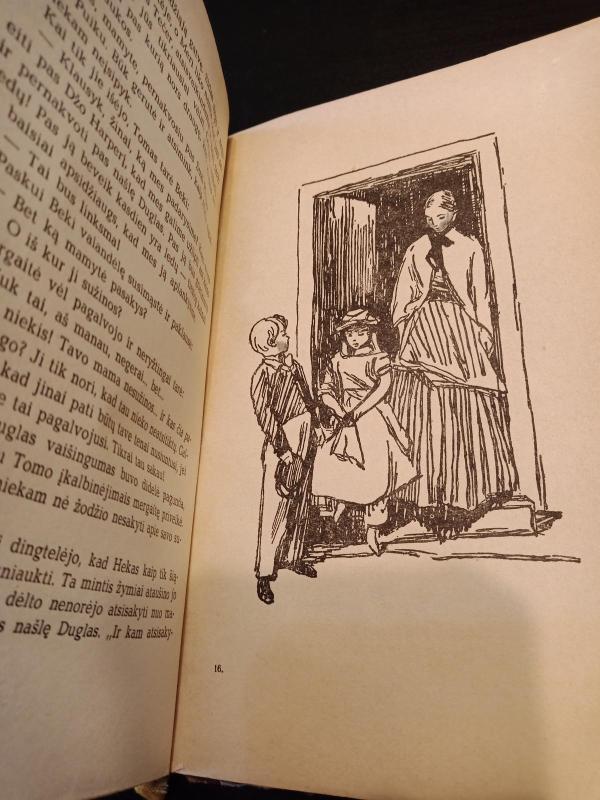 Tomo Sojerio nuotykiai - Markas Tvenas, knyga 2