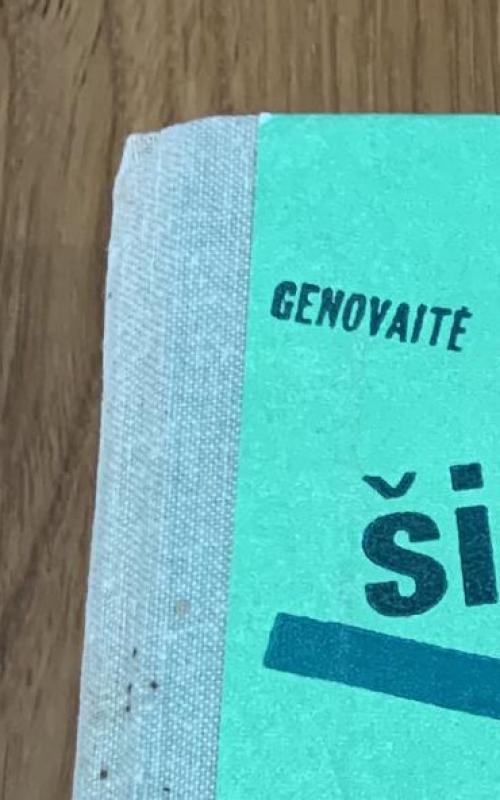 Šimtas knygos mįslių - Genovaitė Raguotienė, knyga 2