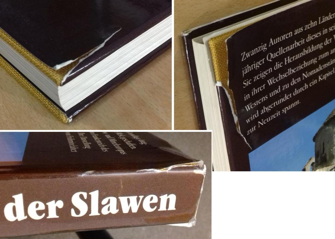 Welt der Slawen : GeschichteGesellschaft Kultur - Autorių Kolektyvas, knyga 3