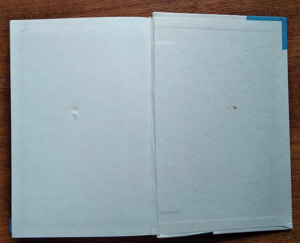 Ledi Hamilton - Henrikas Šumacheris, knyga 4