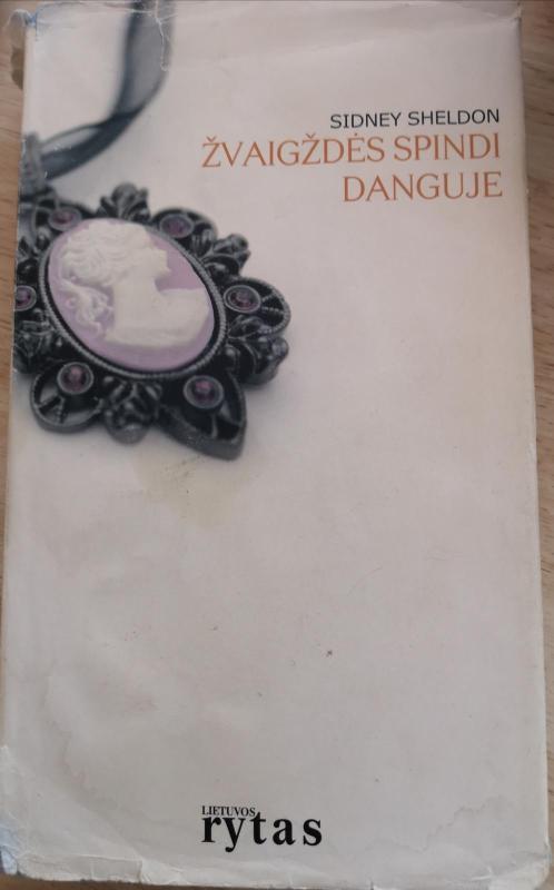 Žvaigždės spindi danguje - Sidney Sheldon, knyga 3