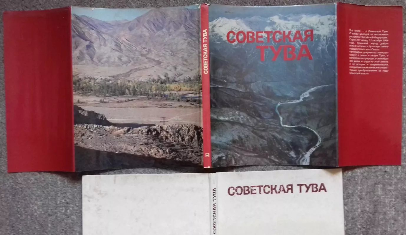 Советская Тува - Autorių Kolektyvas, knyga 4