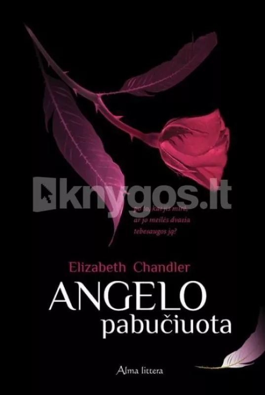 Angelo pabučiuota - Chandler Elizabeth, knyga