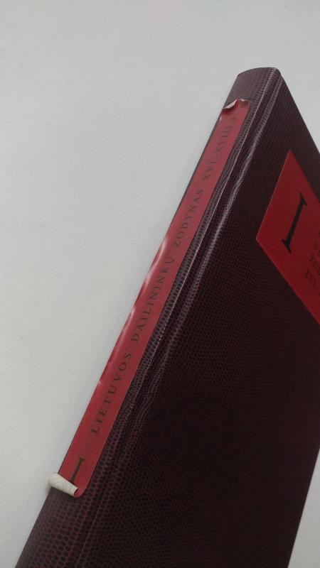 Lietuvos dailininkų žodynas (I tomas): XVI-XVIII a. - Aistė Paliušytė, knyga 3