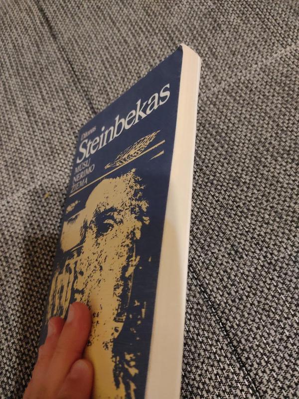 Mūsų nerimo žiema - Džonas Steinbekas, knyga 4