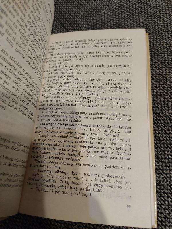 Geri namai - Mykolas Sluckis, knyga 3