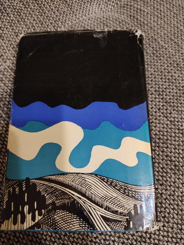 Mažos mūsų nuodėmės - Raimondas Kašauskas, knyga 5