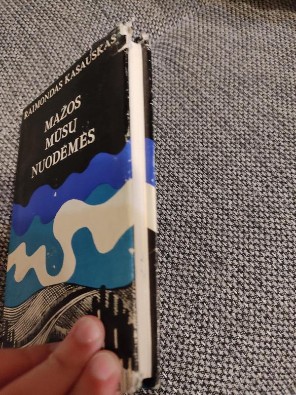 Mažos mūsų nuodėmės - Raimondas Kašauskas, knyga 4