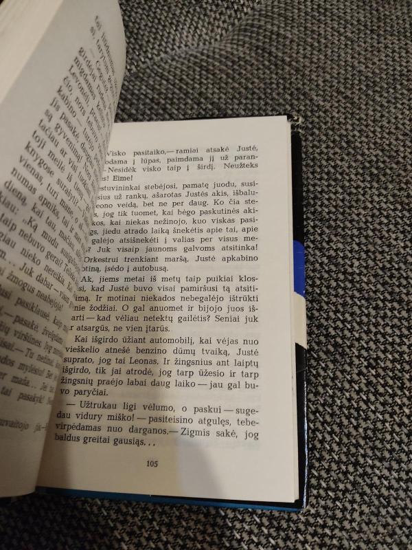 Mažos mūsų nuodėmės - Raimondas Kašauskas, knyga 3