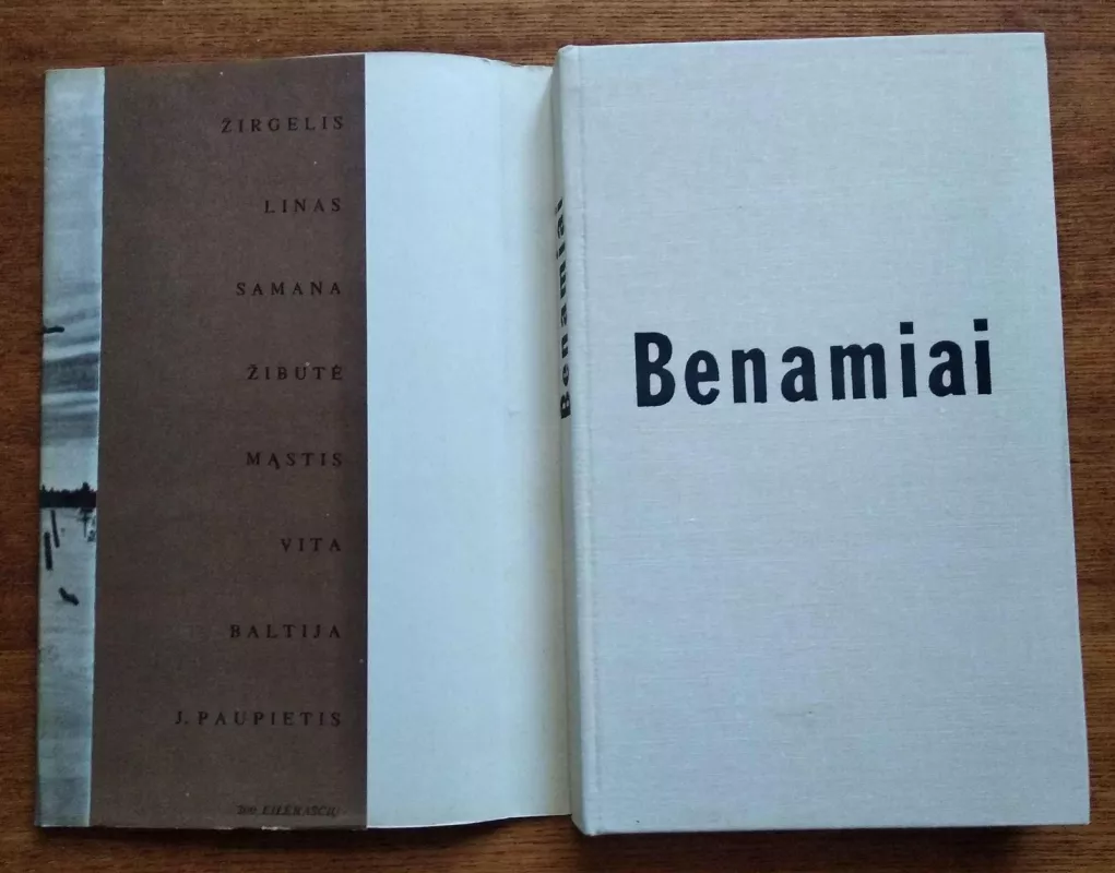 Benamiai - Leonas Gudaitis, knyga 3
