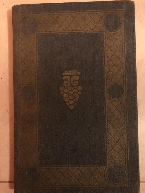 Karžygys tigro kailiu - Šota Rustavelis, knyga 4